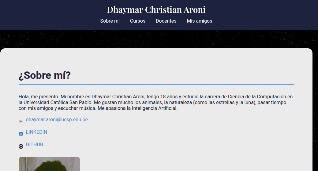 Previsualización de la página de Dhaymar Christian Aroni